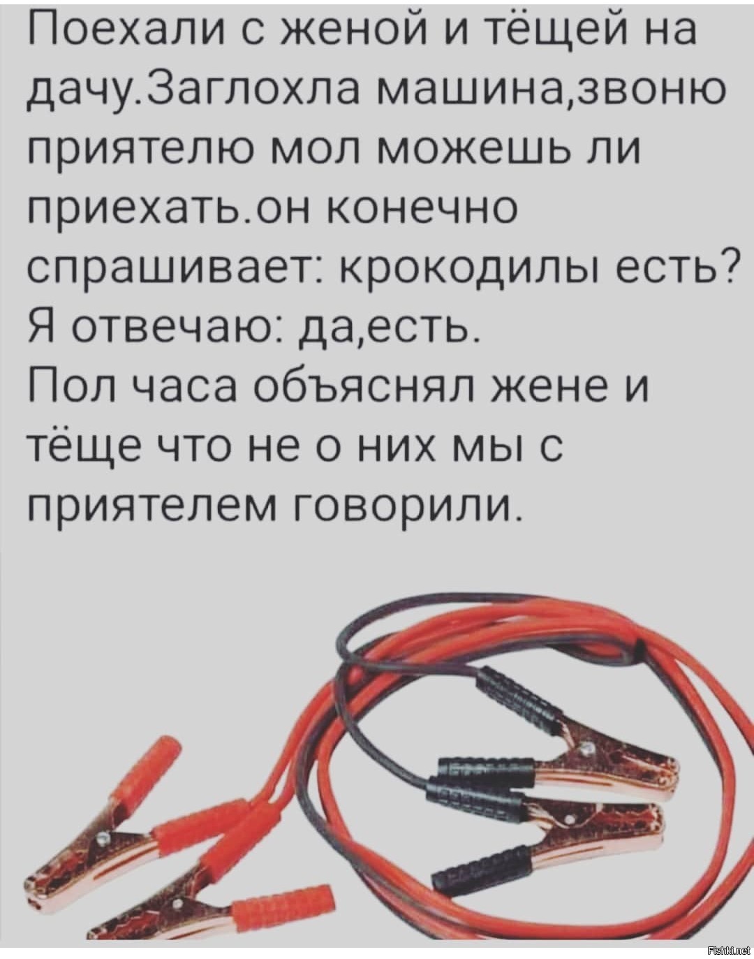 Конечно спрашивать. Лента по интересам юмор 1095203