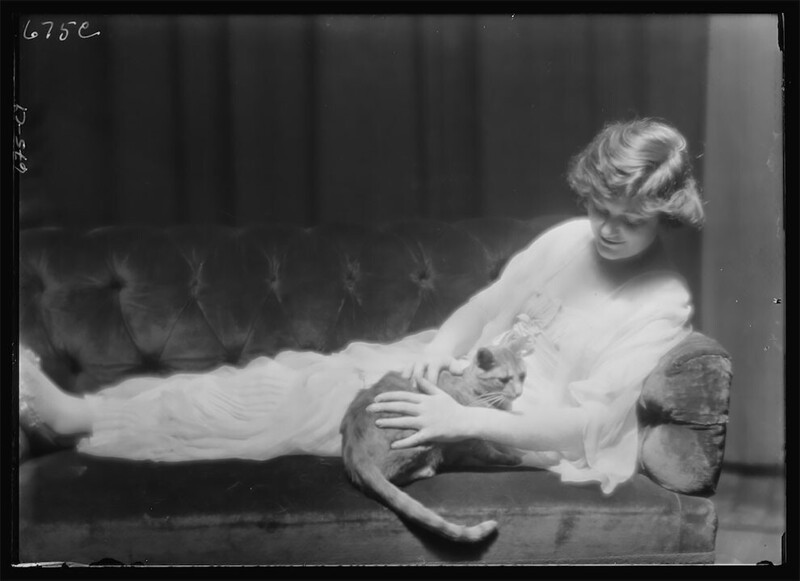 Женщины и кошки: коллекция портретов от Арнольда Генте