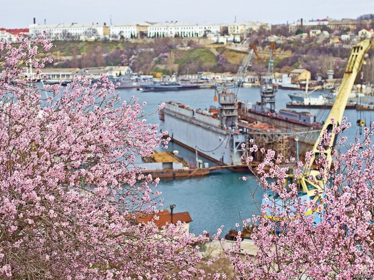 матросский клуб в севастополе