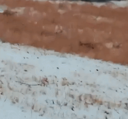 Не в силах дождаться начала сезона