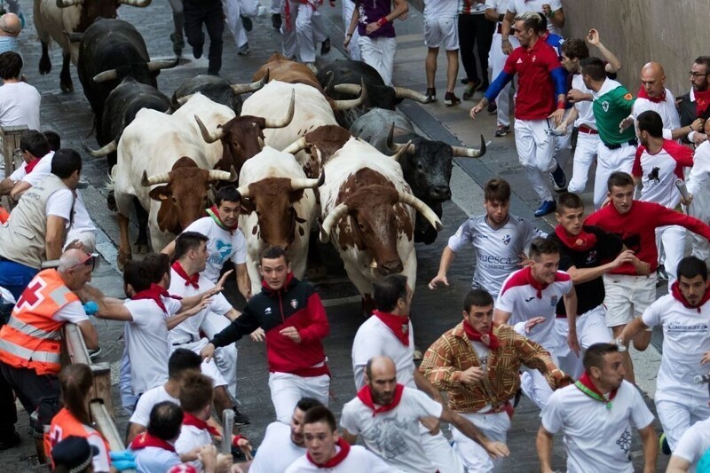 В Памплоне быки снова не выйдут на улицы