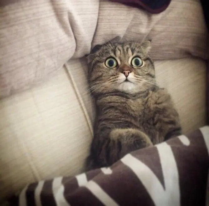 Как на работу?