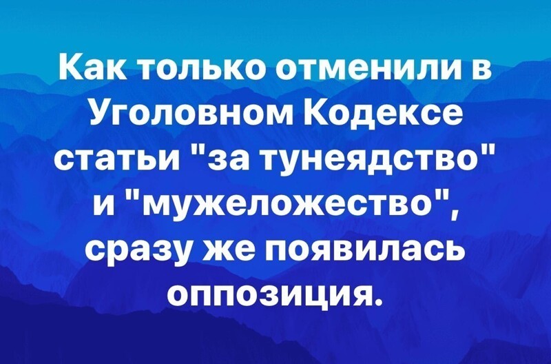 О политике и не только