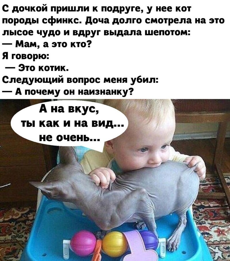 Веселые  картинки