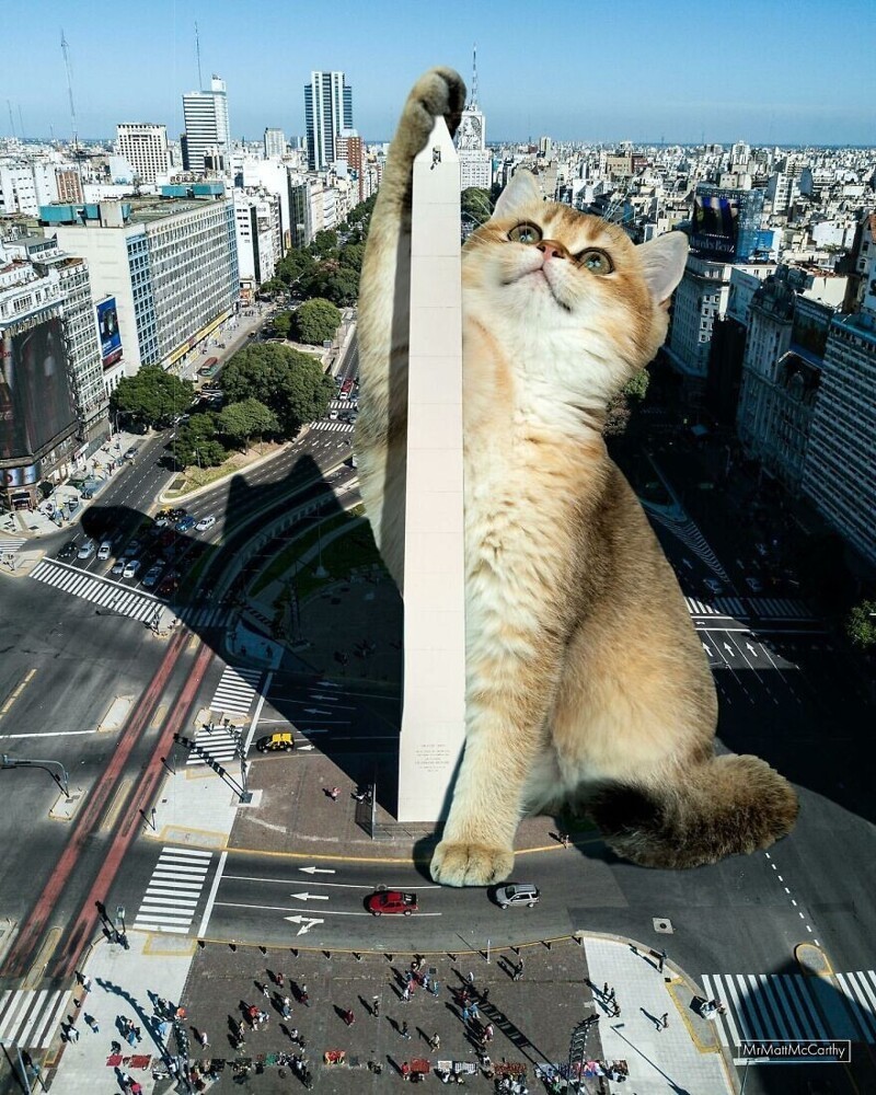 Вот что будет, если мир оккупируют гигантские коты:
