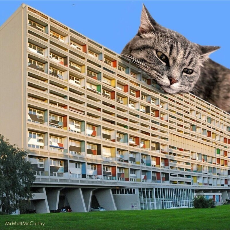 Мастер фотошопа показал, каким станет мир, если его захватят коты