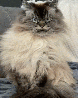 С добрым утром!