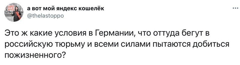 О политике и не только