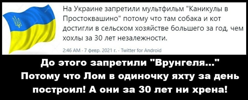 О политике и не только