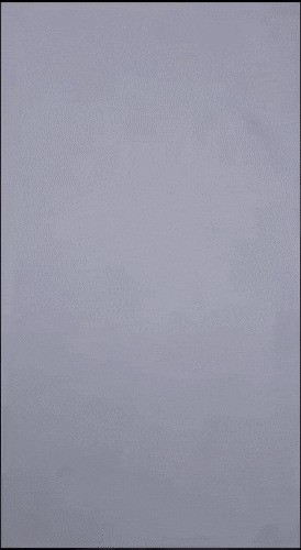 Кошачьи гифки