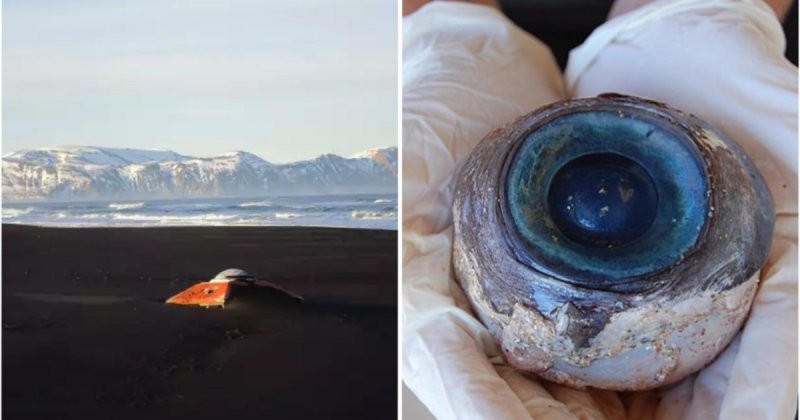 10 действительно странных вещей, которые нашли на берегу