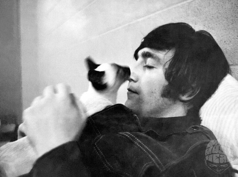 Джон Леннон и его кот Элвис. Как рассказывал музыкант, у него было много кошек в детстве