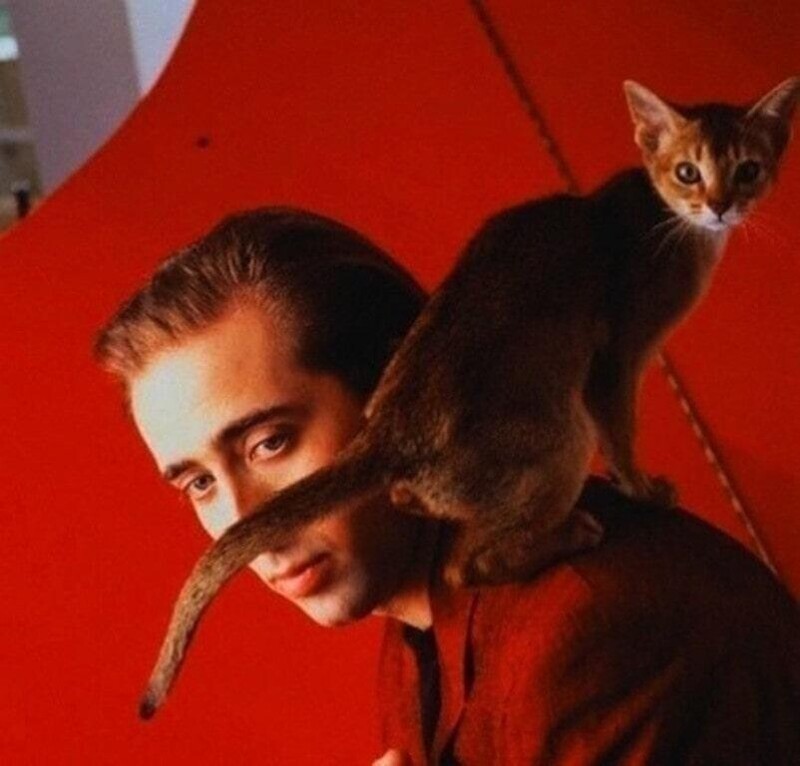 Николас Кейдж и его кот Льюис. Как рассказывал в интервью сам актер, Льюис был его "братом"