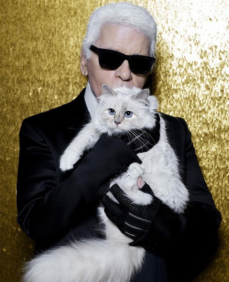 Модельер Карл Лагерфельд со своей кошкой Шупетт. Она даже как-то украсила его линию одежды и аксессуаров