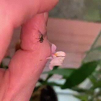 Просто гифки, всякие и разные