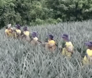 Просто гифки, всякие и разные