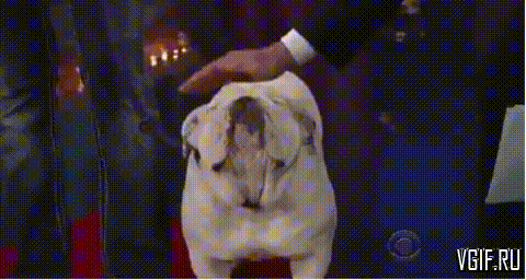 Просто гифки, всякие и разные