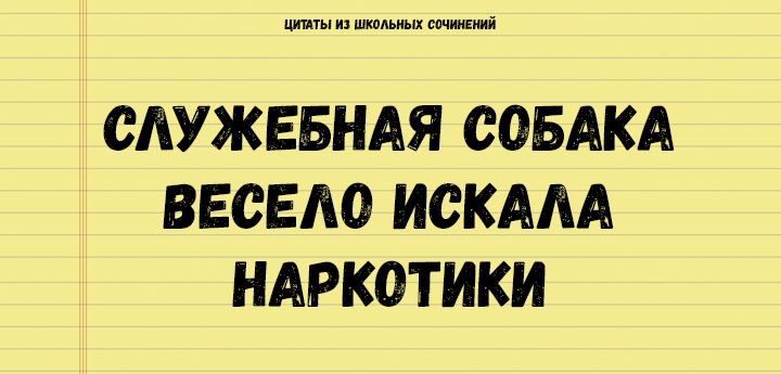 Цитаты из школьных сочинений, которые стоит сохранить для потомков