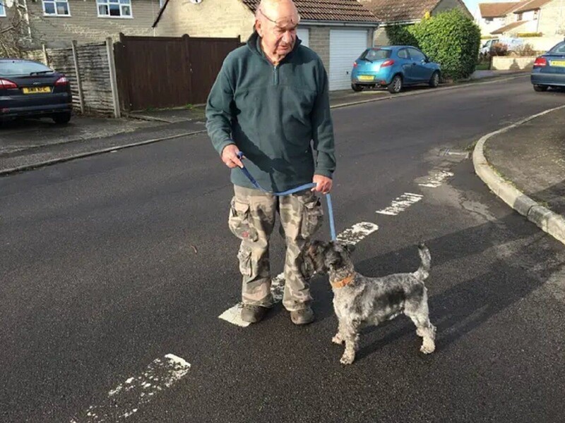 74-летний ветеран уже 13 лет выгуливает собак пожилых и больных людей