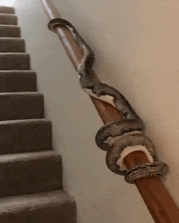 Просто гифки, всякие и разные