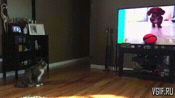 Просто гифки, всякие и разные