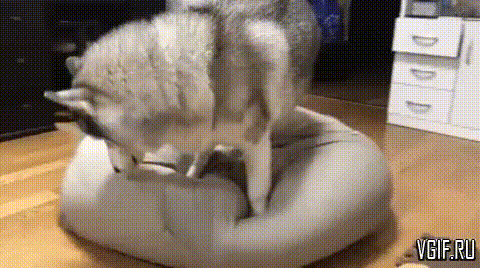 Просто гифки, всякие и разные