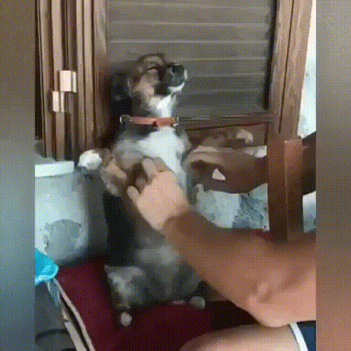 С добрым утром!