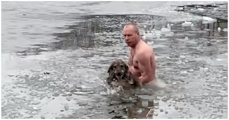 В Волгограде мужчина спас провалившуюся под лед собаку