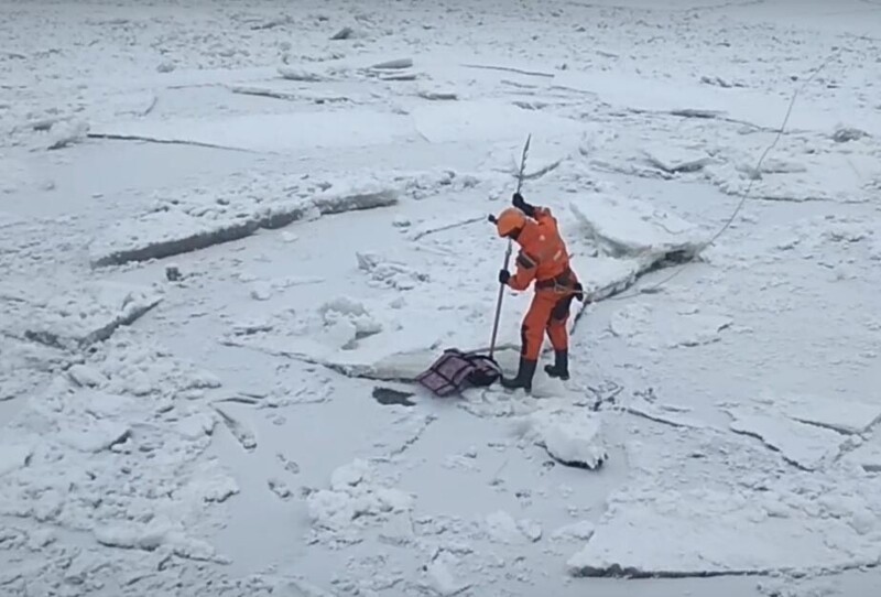 Птичку жалко: питерские спасатели вызволили дикую чайку из ледяного плена
