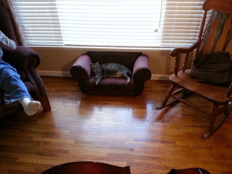 У него свой собственный диван