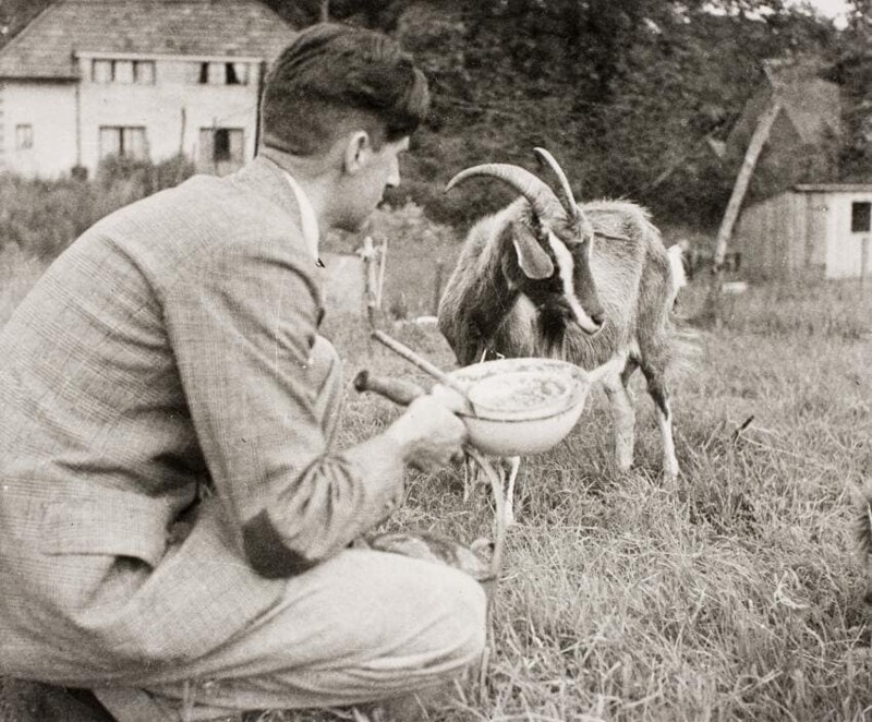 Джордж Оруэлл на своей ферме с козой Мюриэль, которую он позже сделает персонажем повести «Скотный двор»