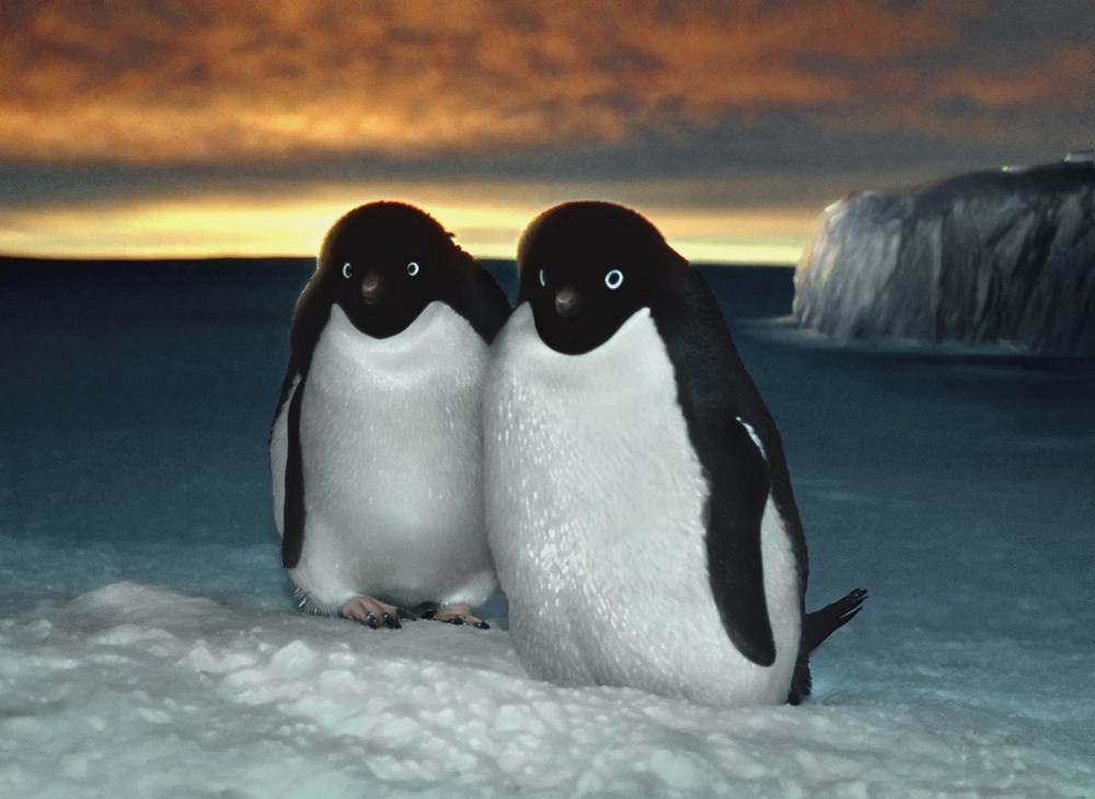Пингвин в купальнике