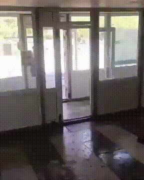 Гифки дня Гифки дня