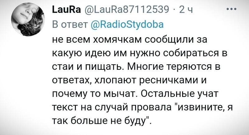 О политике и не только