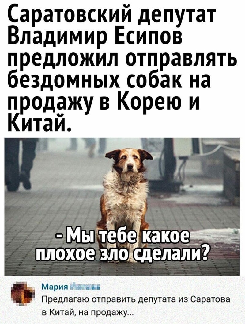 О политике и не только