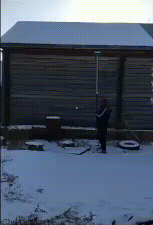 Гифки дня Гифки дня