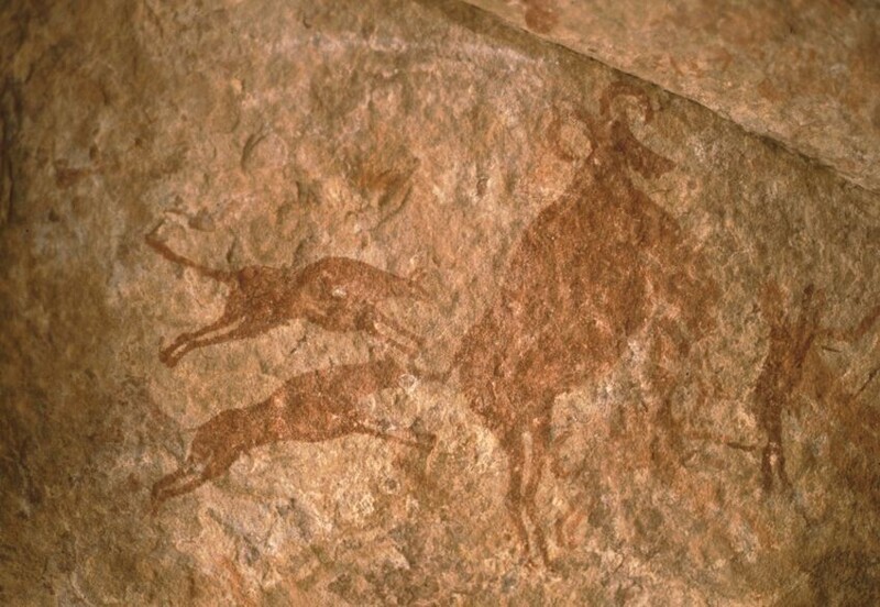 В Испании есть наскальные рисунки, изображающие собак, и датированные примерно 10 000 годом до нашей эры. Это - одни из самых ранних изображений собак, найденные в Европе