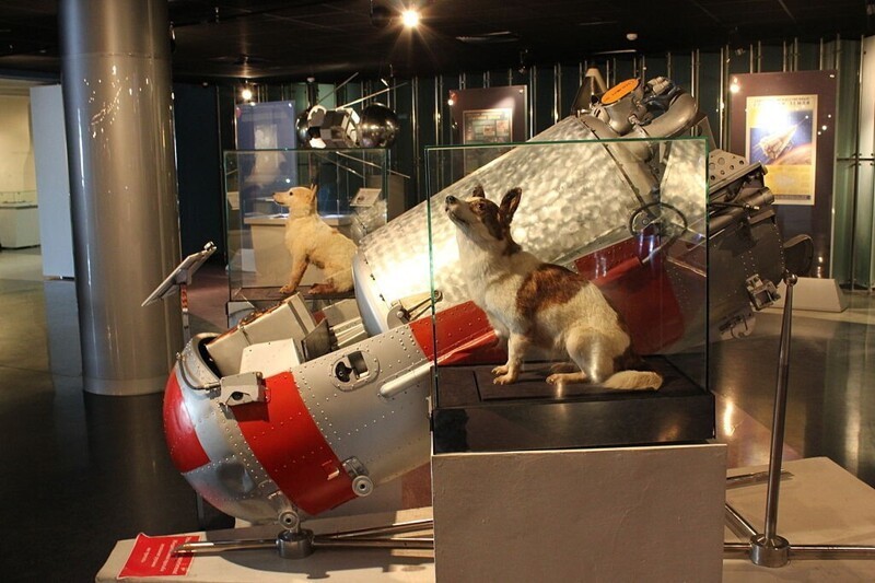 Лайка - собака-космонавт, первое животное, выведенное на орбиту Земли. Ее запустили в космос 3 ноября 1957 года, и она погибла во время полёта через 5—7 часов после старта от перегрева