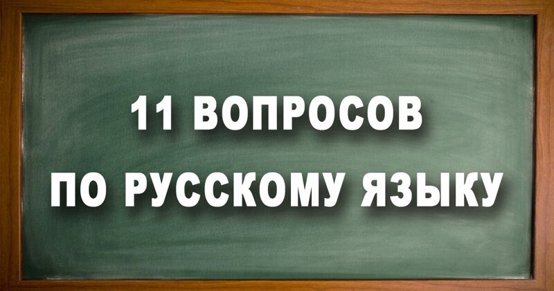 11 вопросов по русскому для проверки грамотности