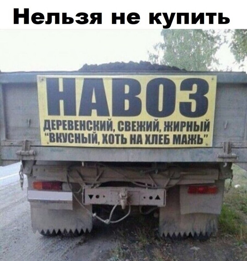 Веселые  картинки