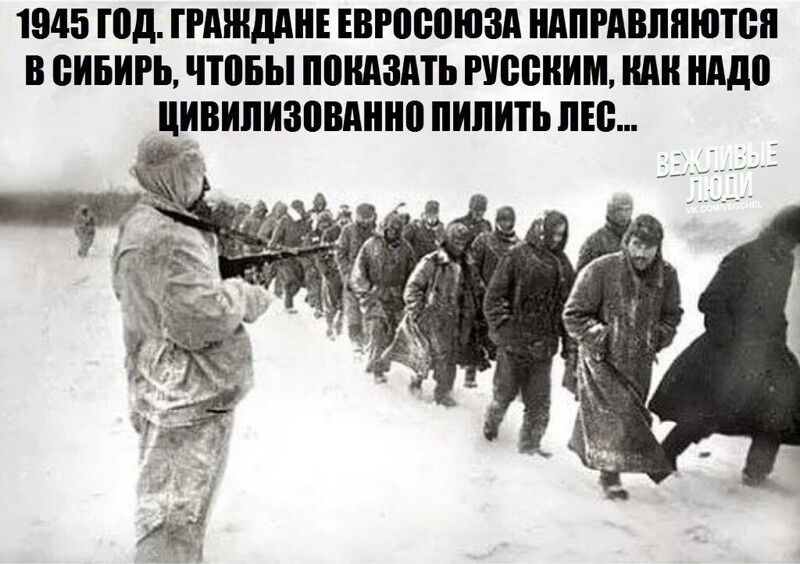 О политике и не только