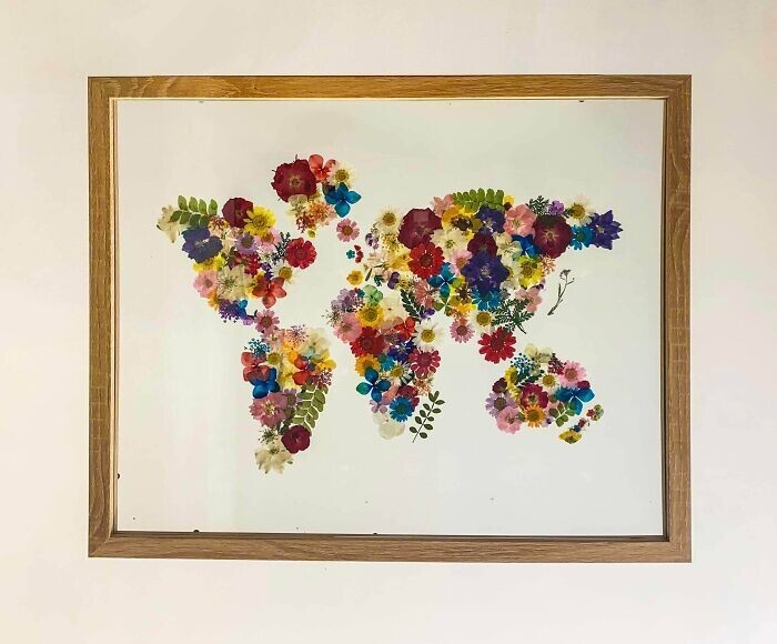 Карта мира из высушенных цветов