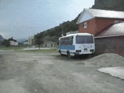 Гифки дня Гифки дня
