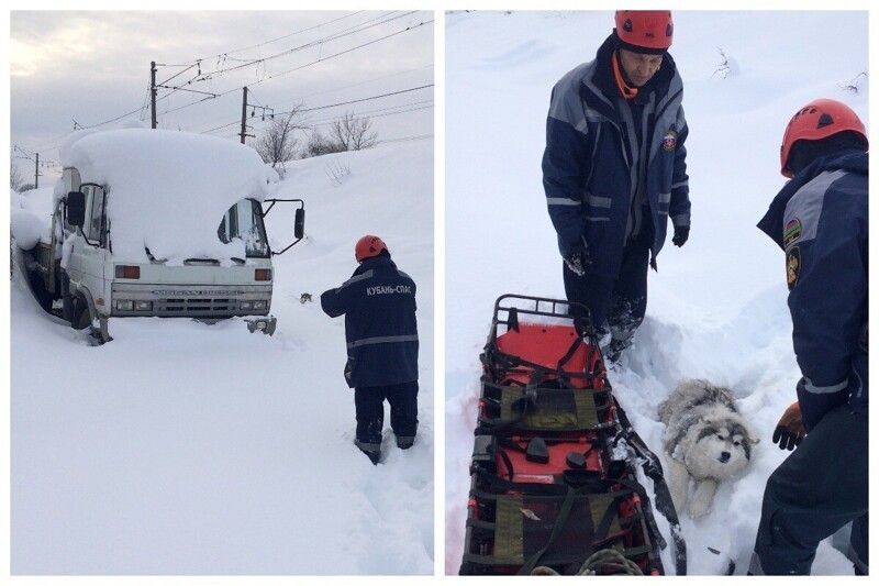 Собака чуть не погибла из-за снежного плена и сломанной лапы
