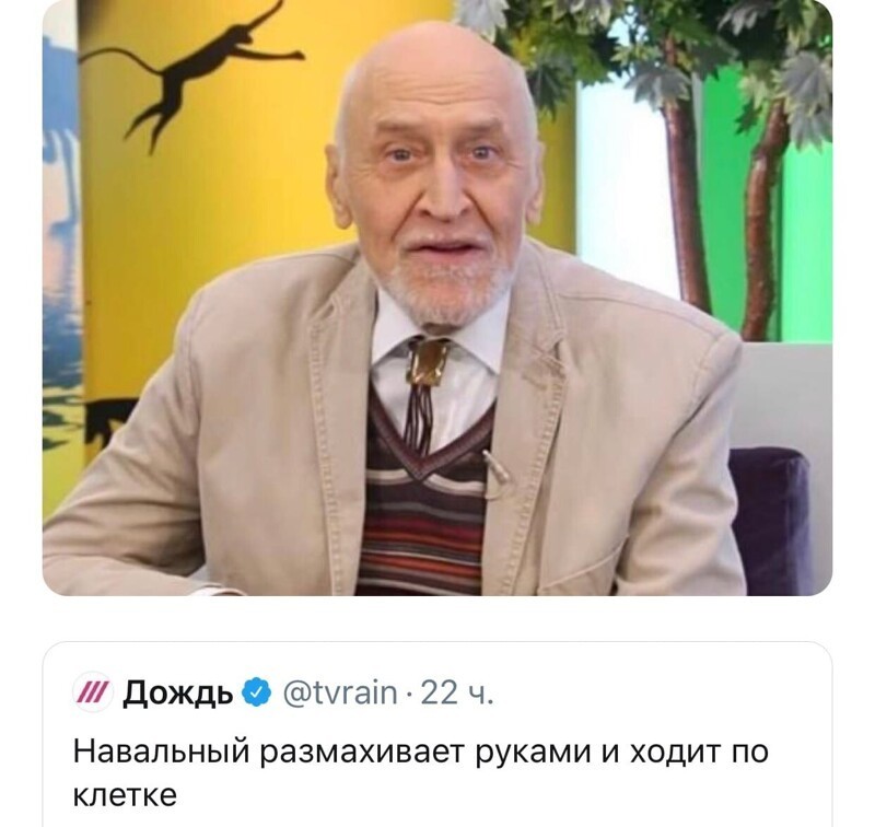 О политике и не только