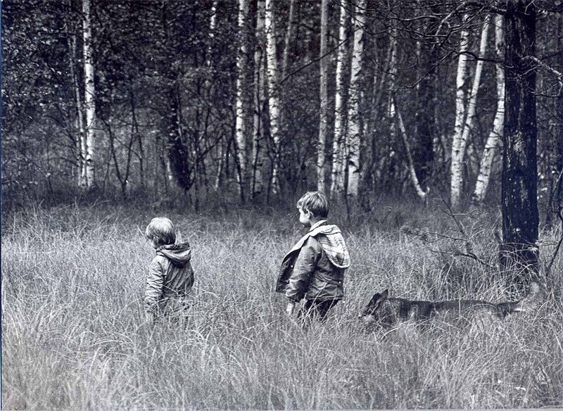 Трое в лесу, считая собаку 1979 год, Подмосковье