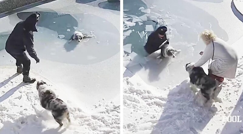 Мужчина провалился под лёд, спасая тонущего пса  