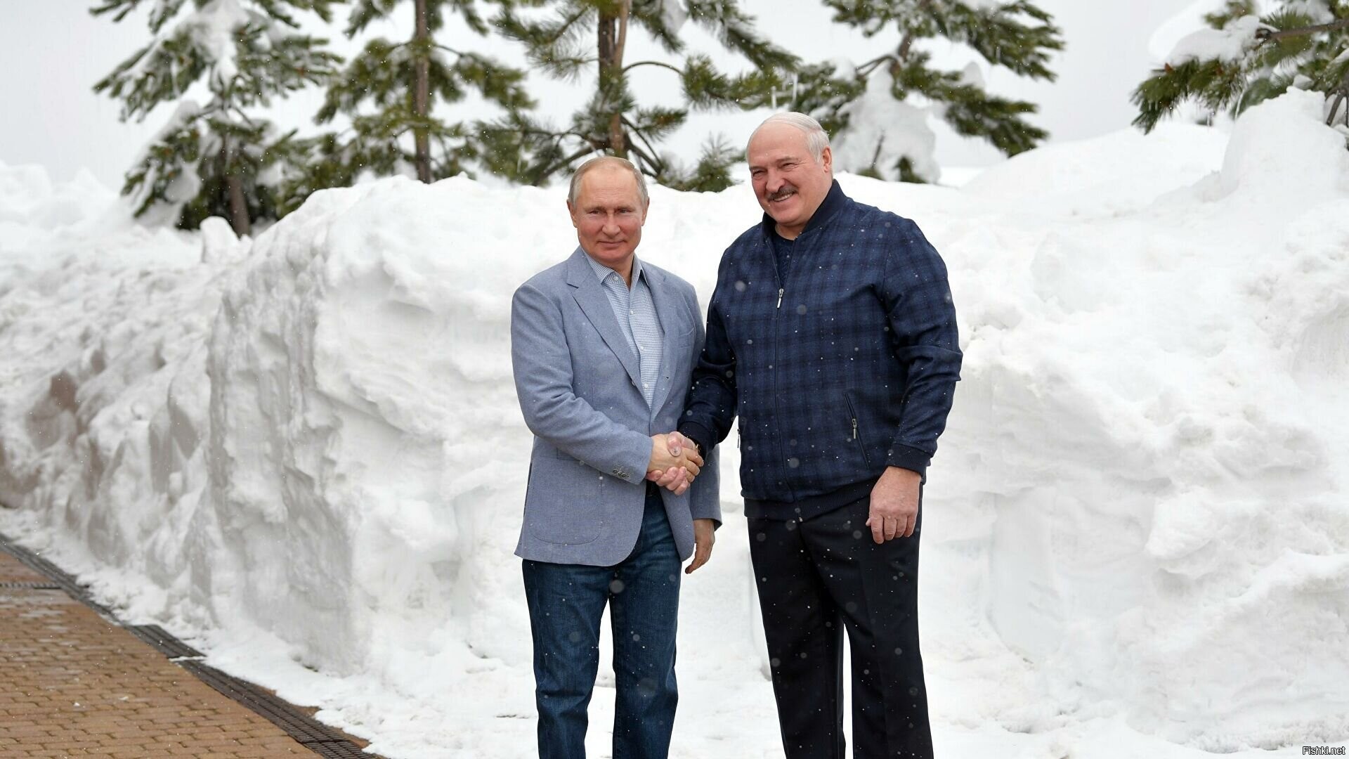 Фото с лукашенко с путиным