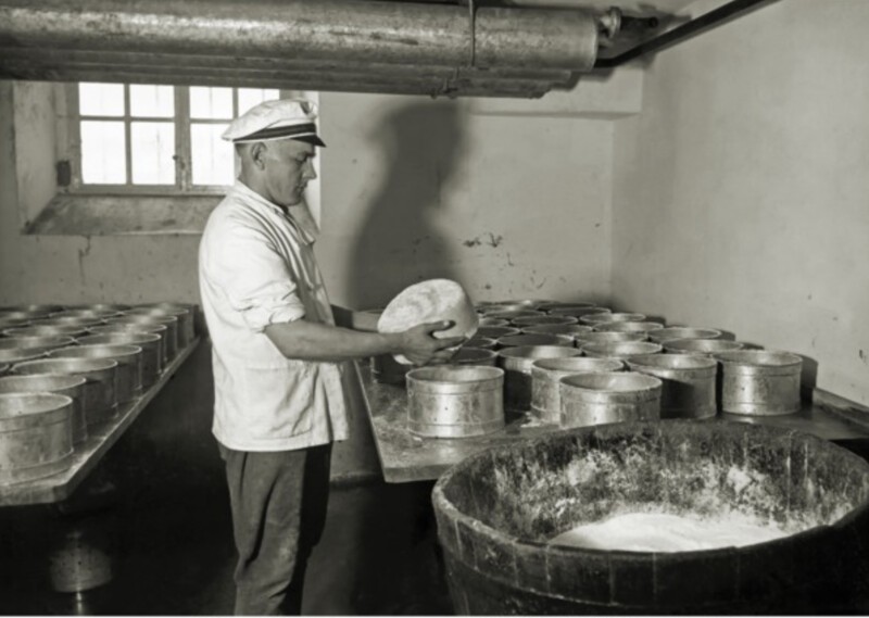 Как делали сыр «Тильзитер» в городе Тильзит, который ныне Советск