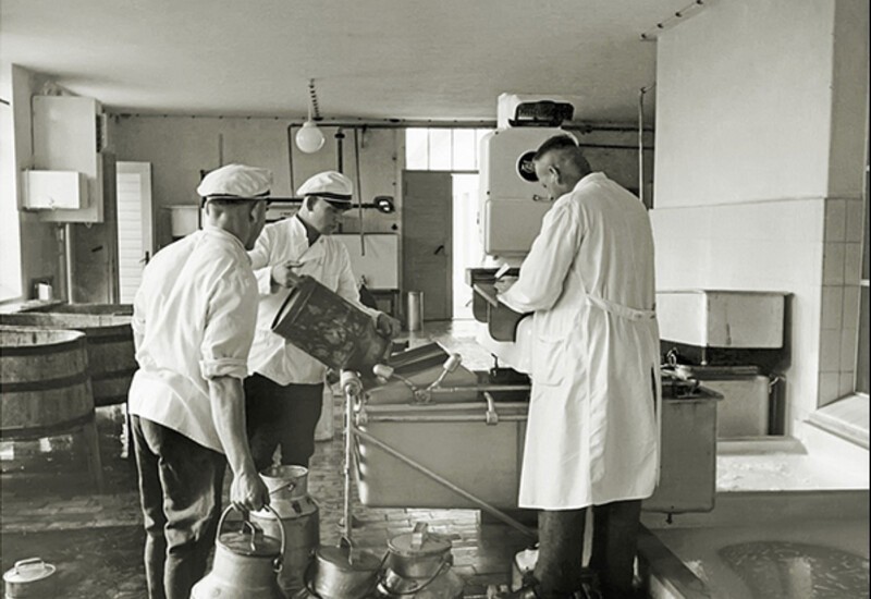Как делали сыр «Тильзитер» в городе Тильзит, который ныне Советск